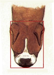 Euro head from above - square