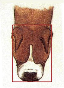 USA head from above - square