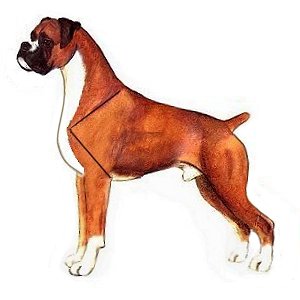 Dog 8