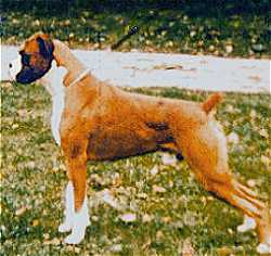 Eng.Ch.Seefeld Picasso