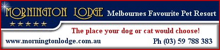 Mornington Lodge Melbourne's favourite Pet Resort